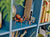 LEGO 76434 HARRY POTTER - ARAGOG IN THE FORBIDDEN FOREST - Toyworld Frankston