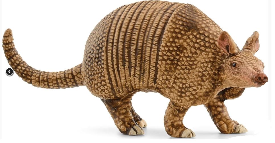 SCHLEICH - ARMADILLO - Toyworld Frankston