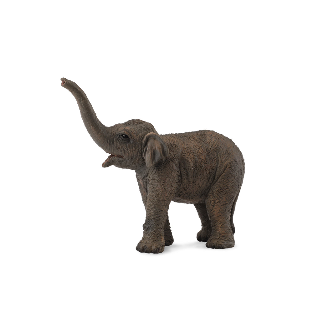 COLLECTA - ASIAN ELEPHANT CALF (S)