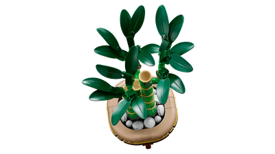 LEGO ICONS 10344 LUCKY BAMBOO