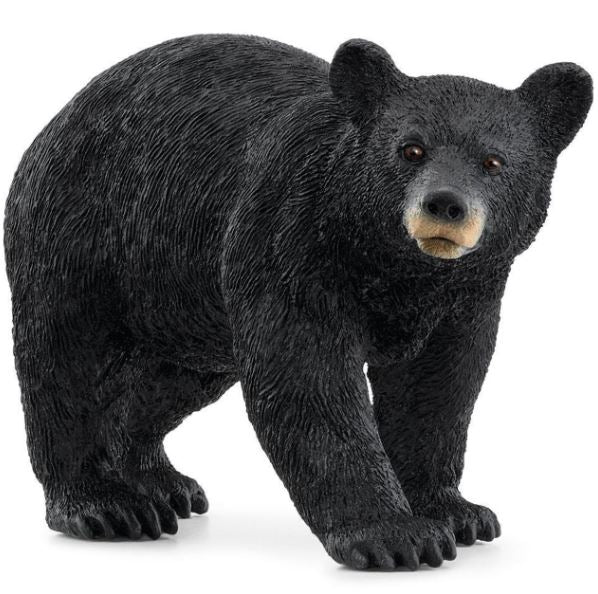 SCHLEICH - AMERICAN BLACK BEAR - Toyworld Frankston