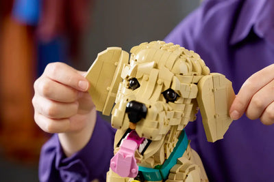 LEGO 11384 ICONS - GOLDEN RETRIEVER PUPPY - Toyworld Frankston