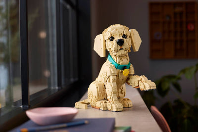 LEGO 11384 ICONS - GOLDEN RETRIEVER PUPPY - Toyworld Frankston