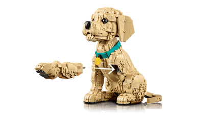 LEGO 11384 ICONS - GOLDEN RETRIEVER PUPPY - Toyworld Frankston