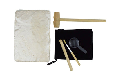 KURIOUS KIDZ ROCKS AND MINERALS MINING KIT