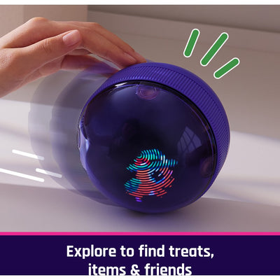 BITZEE - HAMSTER BALL - Toyworld Frankston