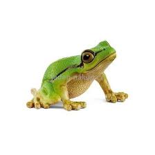 SCHLEICH - EUROPEAN TREE FROG - Toyworld Frankston