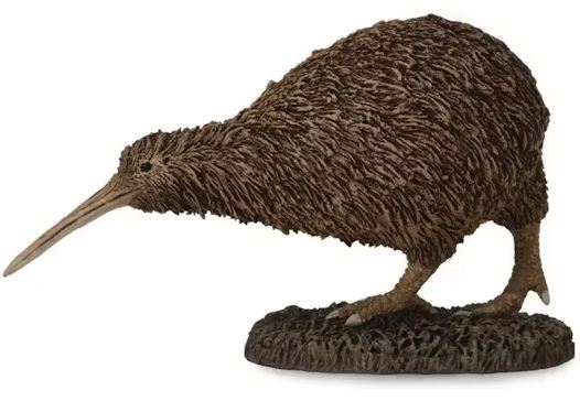 COLLECTA - KIWI - Toyworld Frankston