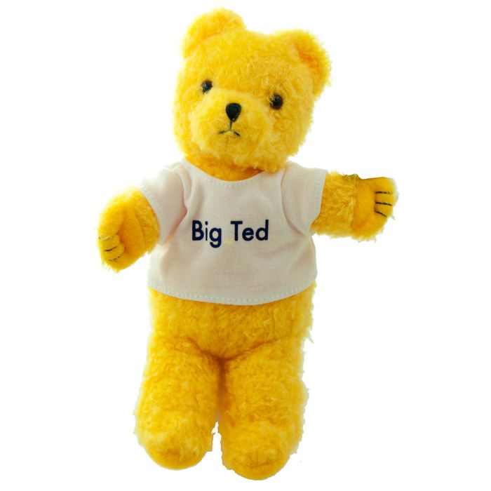 PLAY SCHOOL -  BIG TED BEANIE 18CM - Toyworld Frankston