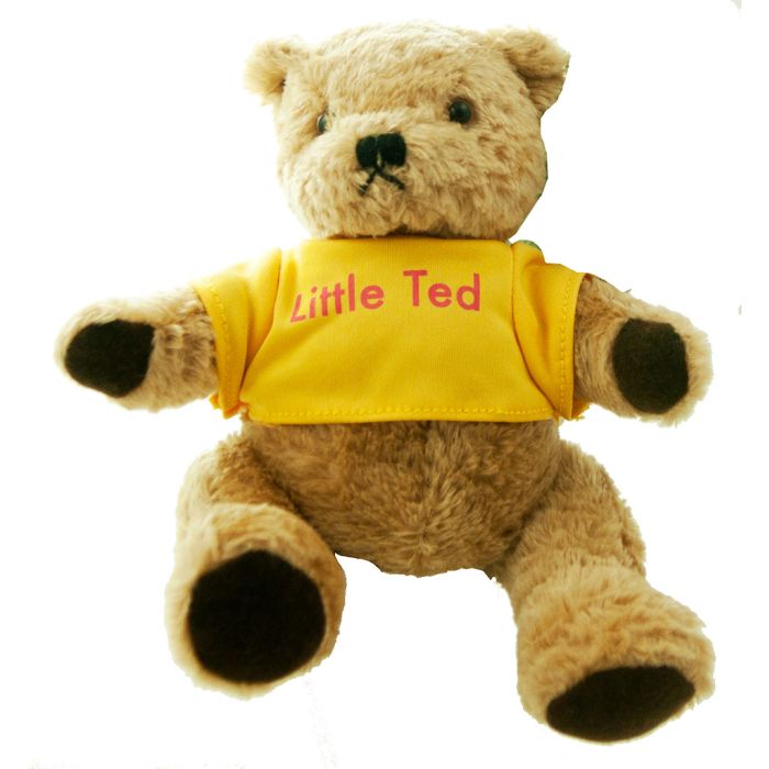 Little ted