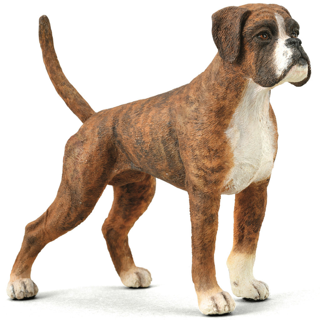COLLECTA - BOXER