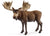 SCHLEICH - MOOSE BULL