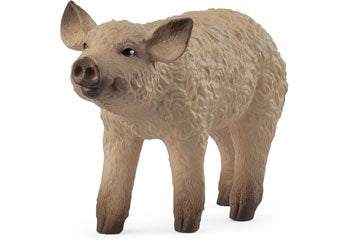 SCHLEICH - MANGALICA PIGLET - Toyworld Frankston