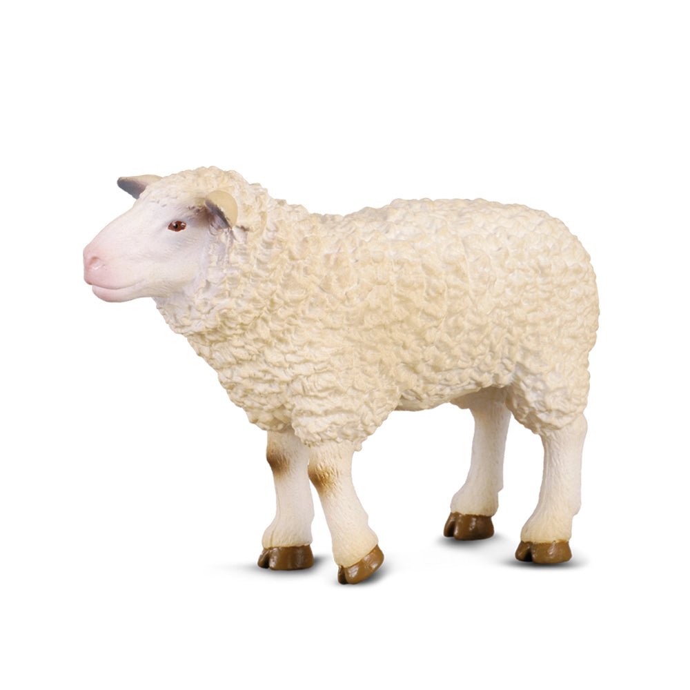 COLLECTA - SHEEP (M)