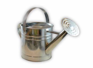 TWIGZ PRO-3L GALVANISED WATERING CAN - Toyworld Frankston