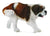COLLECTA - ST BERNARD DOG