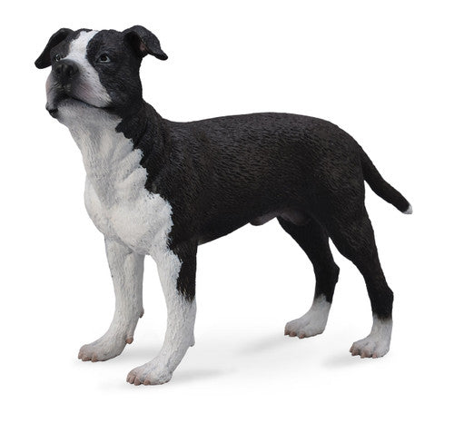 COLLECTA - AMERICAN STAFFORDSHIRE TERRIER