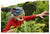 JURASSIC WORLD T REX MASK WITH SOUND