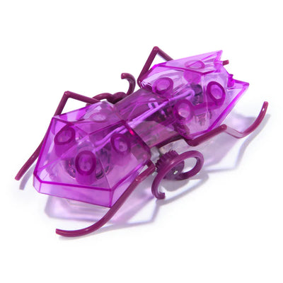 HEX BOTS - MICRO ANT PURPLE - Toyworld Frankston