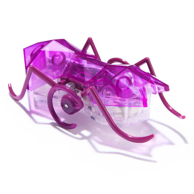 HEX BOTS - MICRO ANT PURPLE - Toyworld Frankston
