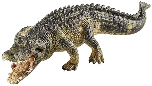 SCHLEICH - ALLIGATOR - Toyworld Frankston