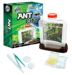 ANT CITY | Toyworld Frankston | Toyworld Frankston