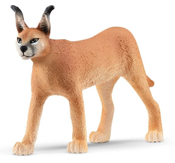 SCHLEICH - CARACAL FEMALE - Toyworld Frankston