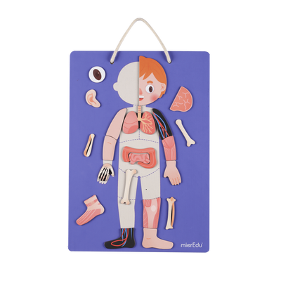 MAGNETIC KIT - ALL ABOUT MY BODY + EMOTIONS - Toyworld Frankston