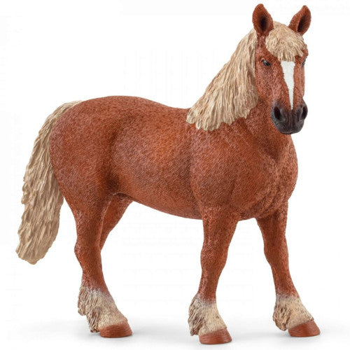 SCHLEICH - BELGIAN DRAFT HORSE - Toyworld Frankston