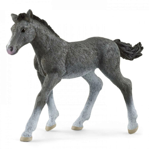 SCHLEICH - TRAKEHNER FOAL - Toyworld Frankston