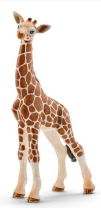 SCHLEICH - GIRAFFE CALF - Toyworld Frankston