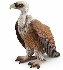 SCHLEICH - VULTURE - Toyworld Frankston