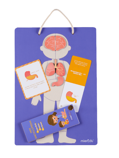 MAGNETIC KIT - ALL ABOUT MY BODY + EMOTIONS - Toyworld Frankston