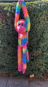 RAINBOW MONKEY