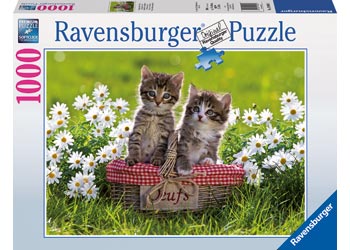RAVENSBURGER - PICNIC IN THE MEADOW 1000PC PUZZLE - Toyworld Frankston