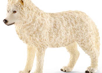 SCHLEICH - ARCTIC WOLF - Toyworld Frankston