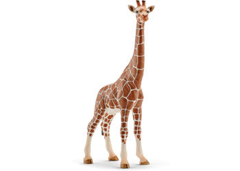 SCHLEICH - GIRAFFE FEMALE - Toyworld Frankston