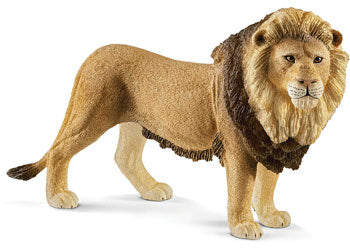 SCHLEICH - LION - Toyworld Frankston
