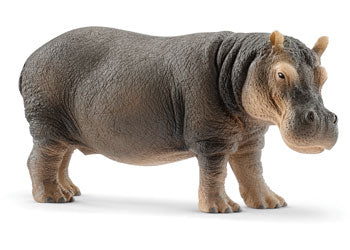 SCHLEICH - HIPPOPOTAMUS - Toyworld Frankston