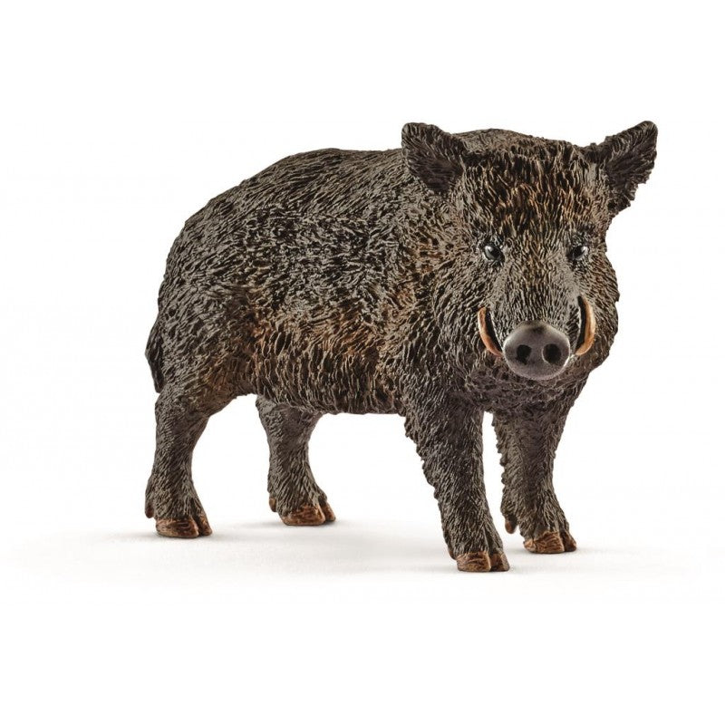 SCHLEICH - WILD BOAR - Toyworld Frankston